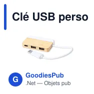 Clé USB personnalisable avec logo pour entreprises - modèle Layais - Miniature 2