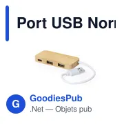 Port USB Norman - Miniature 1
