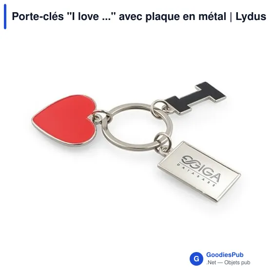 Porte-clés personnalisable en métal avec logo - Lydus - Image 1