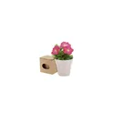 Variante vert - Pot de Fleurs personnalisable avec logo - Advert