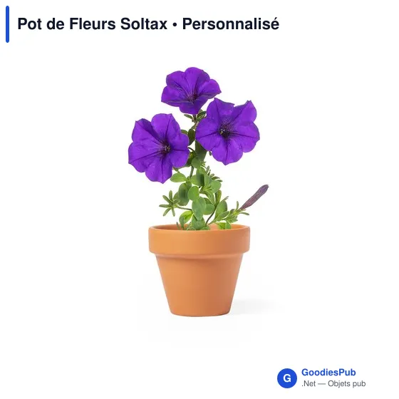 Pot de Fleurs Soltax - Image 2