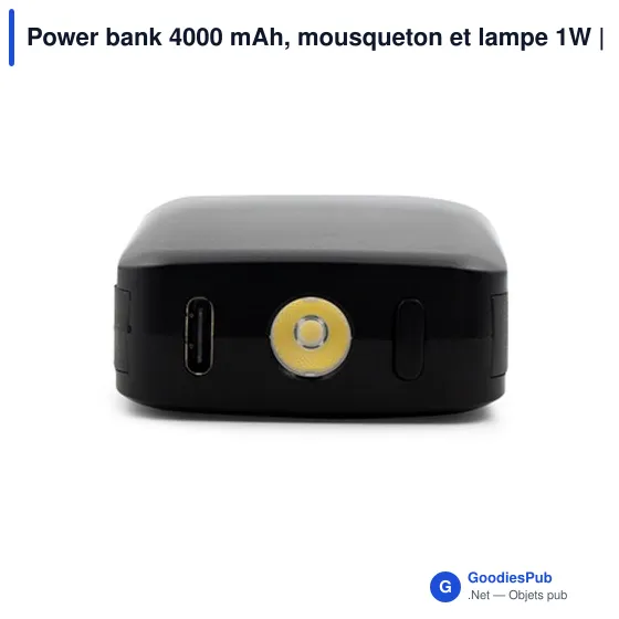 Power bank personnalisable 4000 mAh avec mousqueton et lampe 1W | Dimetriceavec logo - Image 5