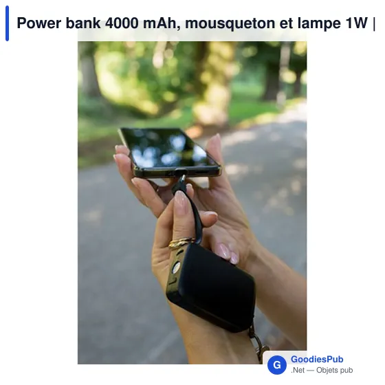 Power bank personnalisable 4000 mAh avec mousqueton et lampe 1W | Dimetriceavec logo - Image 9