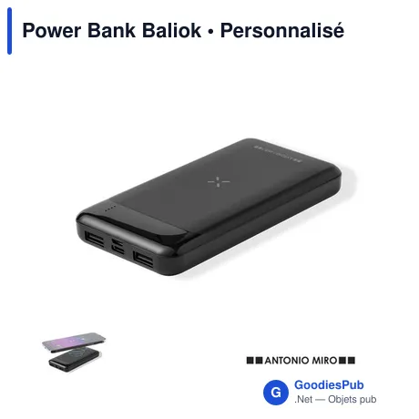 Power Bank Baliok