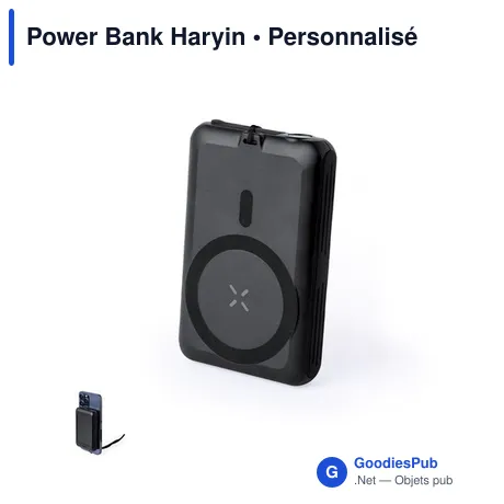 Power Bank Haryin