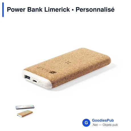 Power Bank Limerick