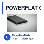POWERFLAT C Powerbank 4000 mAh Type - Miniature 4