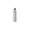 Variante argenté mat - REBIG MOSS Bouteille monocouche 750ml