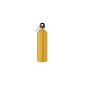 Variante ocre - REBIG MOSS Bouteille monocouche 750ml