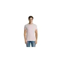 Variante rose chiné - REGENT FIT HOMME 150g