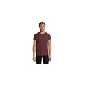 Variante lie de vin chiné - REGENT FIT HOMME 150g