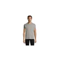 Variante gris chiné - REGENT FIT HOMME 150g