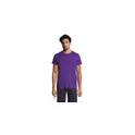 Variante violet foncé - REGENT T-Shirt 150g