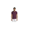 Variante bordeaux - REGENT T-Shirt 150g