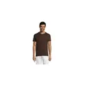 Variante chocolat - REGENT T-Shirt 150g