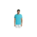 Variante bleu atoll - REGENT T-Shirt 150g
