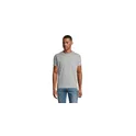 Variante gris pur - REGENT T-Shirt 150g