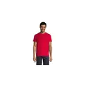 Variante rouge - REGENT T-Shirt 150g