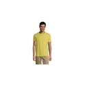 Variante jaune citron - REGENT T-Shirt 150g