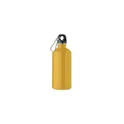 Variante ocre - REMID MOSS Bouteille monocouche 500ml