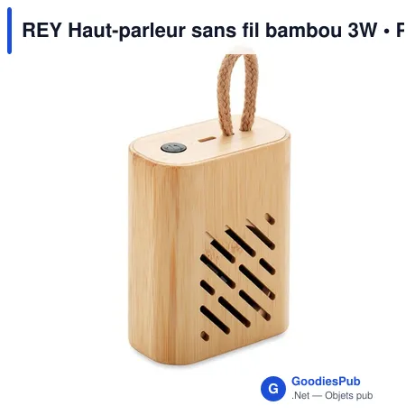 REY Haut-parleur sans fil bambou 3W
