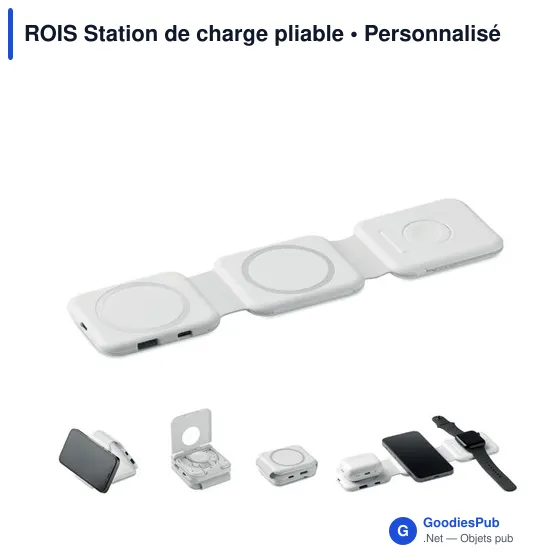 Station de charge personnalisable ROIS avec logo - 3 points de charge - Image 1