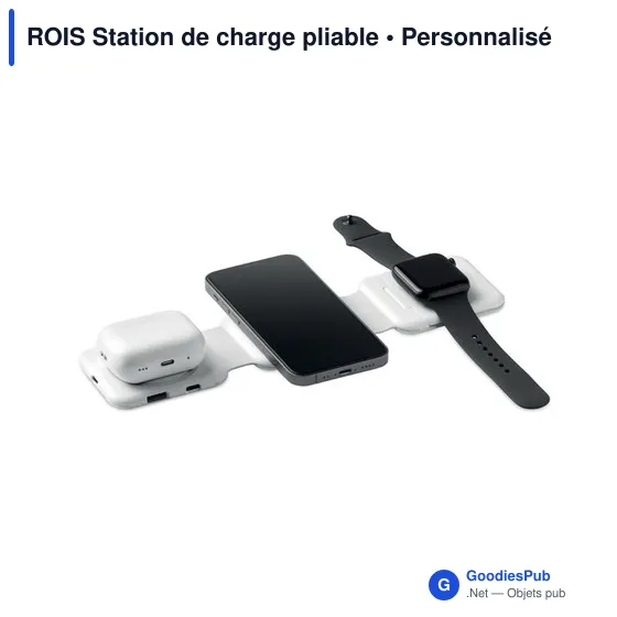 Station de charge personnalisable ROIS avec logo - 3 points de charge - Image 2