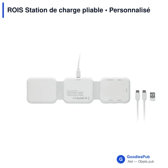 Station de charge personnalisable ROIS avec logo - 3 points de charge - Image 11