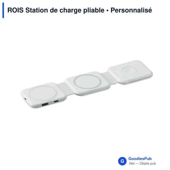 Station de charge personnalisable ROIS avec logo - 3 points de charge - Image 12