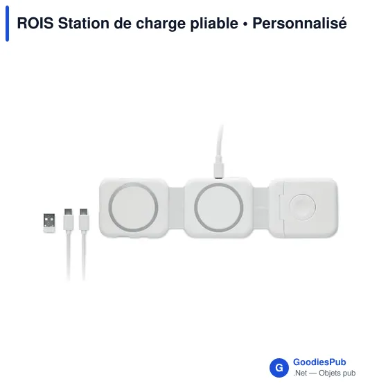 Station de charge personnalisable ROIS avec logo - 3 points de charge - Image 10