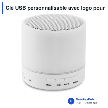 Clé USB personnalisable avec logo pour entreprises