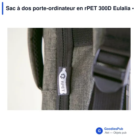 Sac à dos porte-ordinateur en rPET 300D Eulalia - Image 11