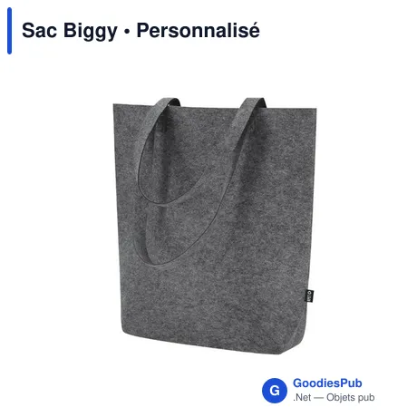Sac Biggy