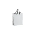 Variante Argent - Sac cadeau en papier FSC personnalisable 18 x 24 cm avec logo - Or ou argent