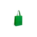 Variante vert - Sac Cattyr