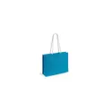 Variante bleu clair - Sac Hintol