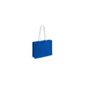 Variante bleu - Sac Hintol