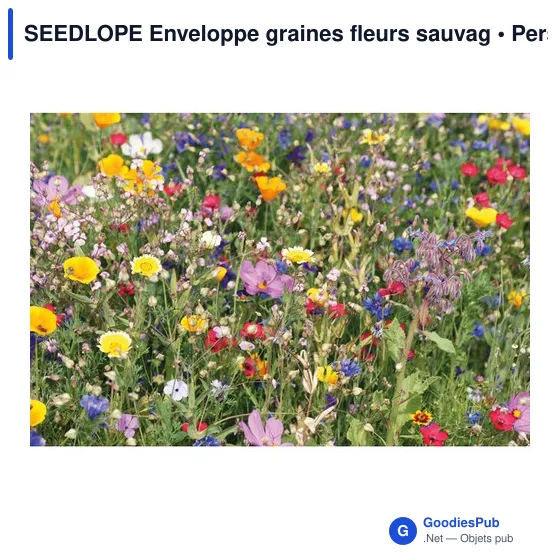 SEEDLOPE Enveloppe graines fleurs sauvag - Image 3