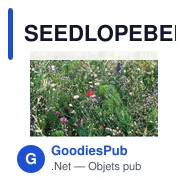SEEDLOPEBEE graines de mélange fleurs - Miniature 3