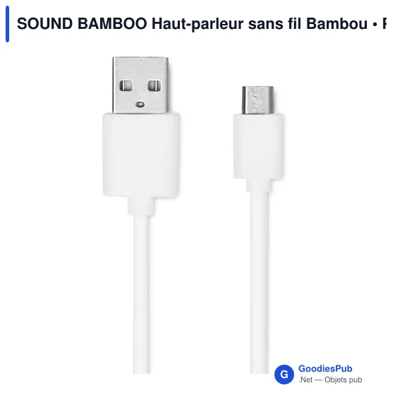 SOUND BAMBOO Haut-parleur sans fil Bambou - Image 4