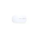 Variante blanc - Souris Chestir RCS