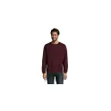 Variante bleu royal - SPIDER MEN SWEATER 260g