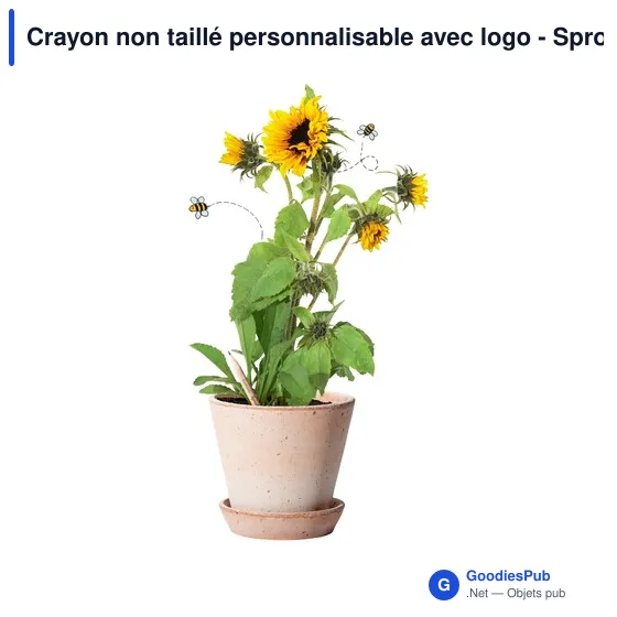 Crayon non taillé personnalisable avec logo - Sproutworld - Image 1