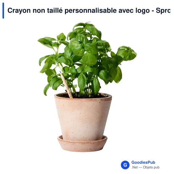 Crayon non taillé personnalisable avec logo - Sproutworld - Image 11