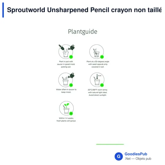Crayon non taillé personnalisable avec logo - Sproutworld - Image 3
