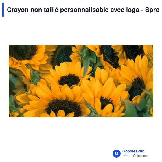 Crayon non taillé personnalisable avec logo - Sproutworld - Image 6