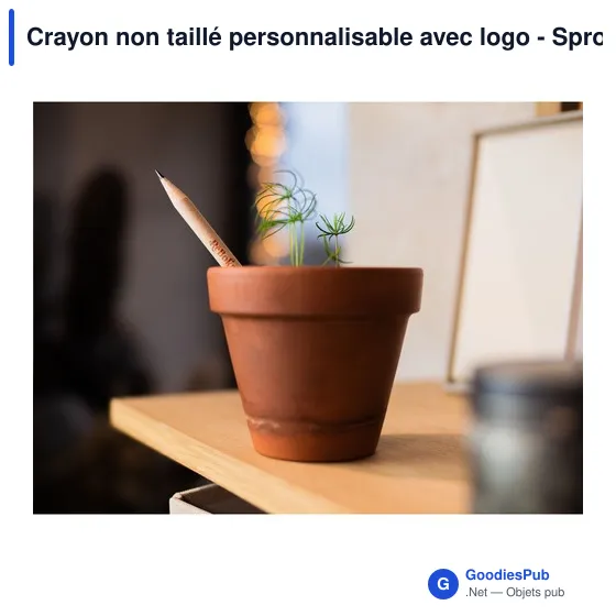 Crayon non taillé personnalisable avec logo - Sproutworld - Image 9