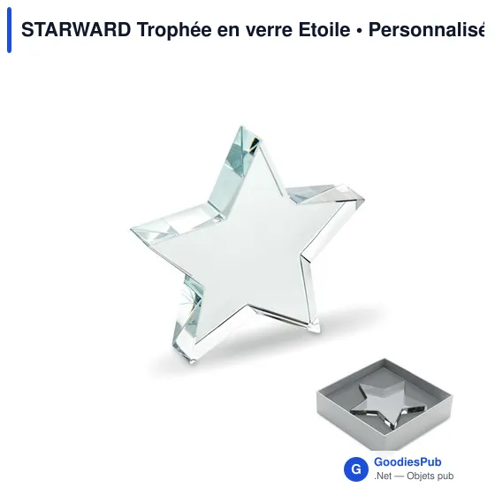 Trophée en verre étoile personnalisable avec logo - STARWARD - Image 1