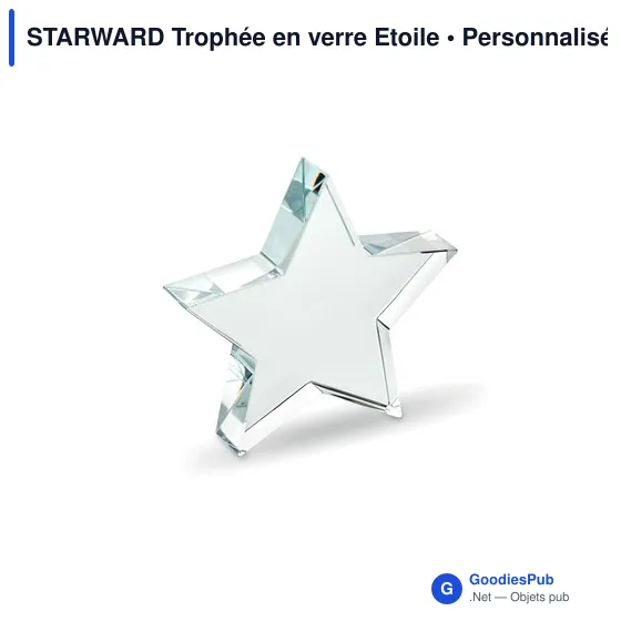 Trophée en verre étoile personnalisable avec logo - STARWARD - Image 2