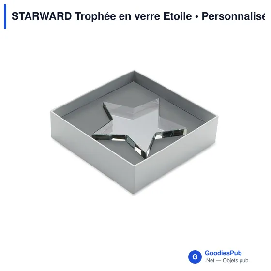 Trophée en verre étoile personnalisable avec logo - STARWARD - Image 3
